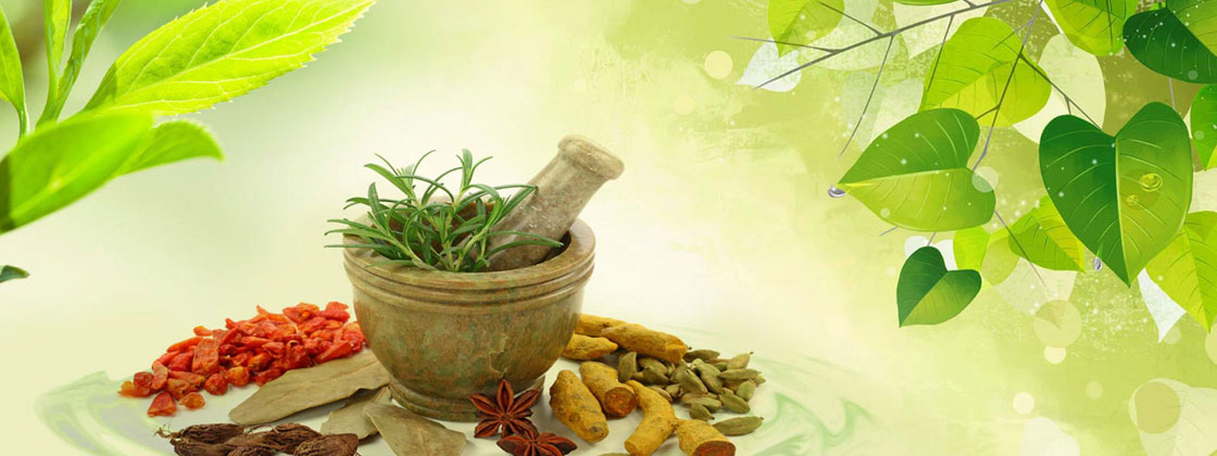 Herbal Extracts Exporters, Manufacturers & Suppliers India - Natura Vitalis